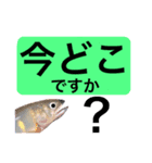 【デカ文字版】鮎釣り中に使えるスタンプ（個別スタンプ：5）