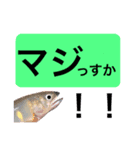【デカ文字版】鮎釣り中に使えるスタンプ（個別スタンプ：7）