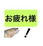 【デカ文字版】鮎釣り中に使えるスタンプ（個別スタンプ：10）