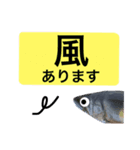 【デカ文字版】鮎釣り中に使えるスタンプ（個別スタンプ：18）