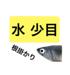 【デカ文字版】鮎釣り中に使えるスタンプ（個別スタンプ：20）