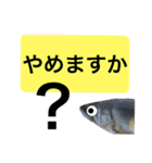 【デカ文字版】鮎釣り中に使えるスタンプ（個別スタンプ：24）