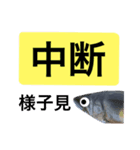 【デカ文字版】鮎釣り中に使えるスタンプ（個別スタンプ：26）