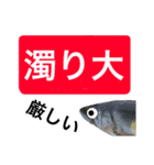 【デカ文字版】鮎釣り中に使えるスタンプ（個別スタンプ：28）