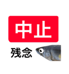【デカ文字版】鮎釣り中に使えるスタンプ（個別スタンプ：29）