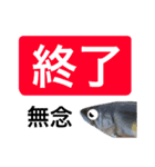 【デカ文字版】鮎釣り中に使えるスタンプ（個別スタンプ：30）