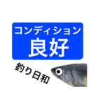 【デカ文字版】鮎釣り中に使えるスタンプ（個別スタンプ：33）