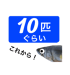 【デカ文字版】鮎釣り中に使えるスタンプ（個別スタンプ：36）