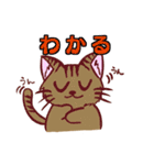 もふもふ可愛い 猫スタンプ ～日常編～（個別スタンプ：11）