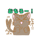 もふもふ可愛い 猫スタンプ ～日常編～（個別スタンプ：15）