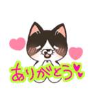 今日もはちわれねこ（個別スタンプ：23）