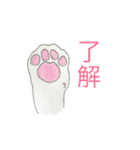 手書きのゆる〜いねこ（個別スタンプ：6）