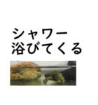 テスト3日前の亀コロ（個別スタンプ：5）