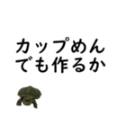 テスト3日前の亀コロ（個別スタンプ：14）