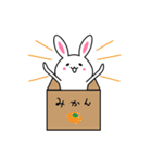 まいにちうさぎたろう（個別スタンプ：25）