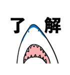 サメ好きスタンプ（個別スタンプ：5）