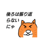 ゴマカシネコ（個別スタンプ：13）