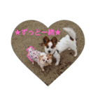 パピとこころの可愛い犬のスタンプ♪（個別スタンプ：2）