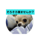 我が家のくっく（個別スタンプ：4）