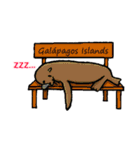 ガラパゴス諸島の仲間たち（個別スタンプ：15）