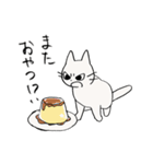 しかるねこ5（個別スタンプ：17）