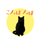 黒猫 シャケ 2（個別スタンプ：4）