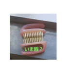 kido hikari stamp（個別スタンプ：15）