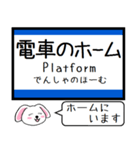 山陽本線(山口-福岡) この駅だよ！タレミー（個別スタンプ：28）