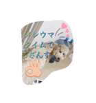 おいも。（個別スタンプ：1）