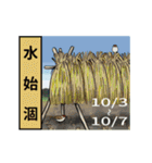 秋暦〜二十四節気と七十二候〜（個別スタンプ：12）