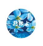 宮古島Flower（個別スタンプ：1）