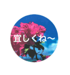 宮古島Flower（個別スタンプ：3）
