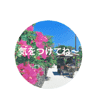 宮古島Flower（個別スタンプ：6）