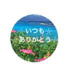 宮古島Flower（個別スタンプ：12）