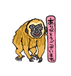 野生動物さん（個別スタンプ：5）