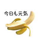 元気なバナナ 2（個別スタンプ：1）