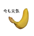 元気なバナナ 2（個別スタンプ：3）