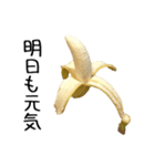 元気なバナナ 2（個別スタンプ：5）