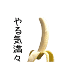 元気なバナナ 2（個別スタンプ：13）