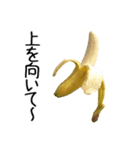元気なバナナ 2（個別スタンプ：23）