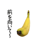 元気なバナナ 2（個別スタンプ：24）