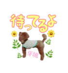 芽琉のスタンプ（個別スタンプ：6）