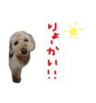 犬のうーたん（個別スタンプ：10）