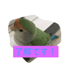 コザクラインコのあいさつ（個別スタンプ：7）