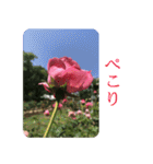 ココロに花を.8（個別スタンプ：26）