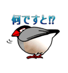 ザ・桜文鳥（個別スタンプ：5）