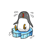 ちょいワルペンギン（個別スタンプ：23）