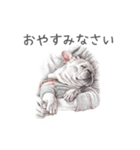 Momojiの犬画スタンプ（個別スタンプ：3）