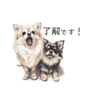 Momojiの犬画スタンプ（個別スタンプ：4）
