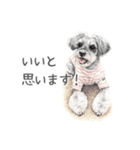 Momojiの犬画スタンプ（個別スタンプ：5）